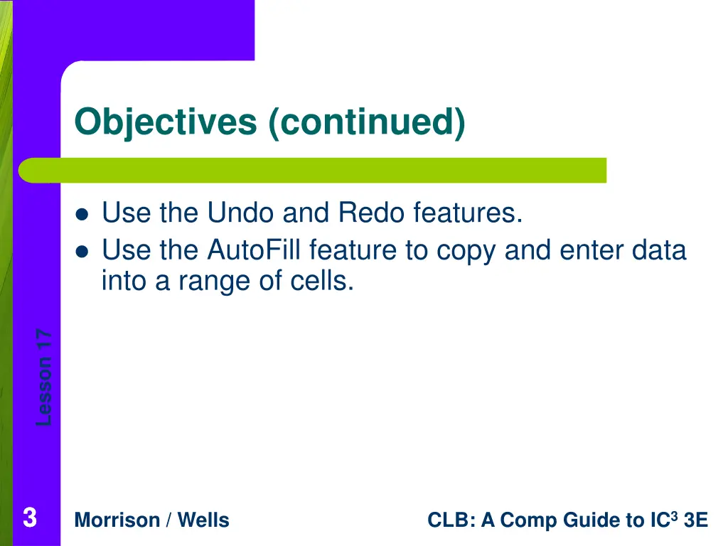 objectives continued