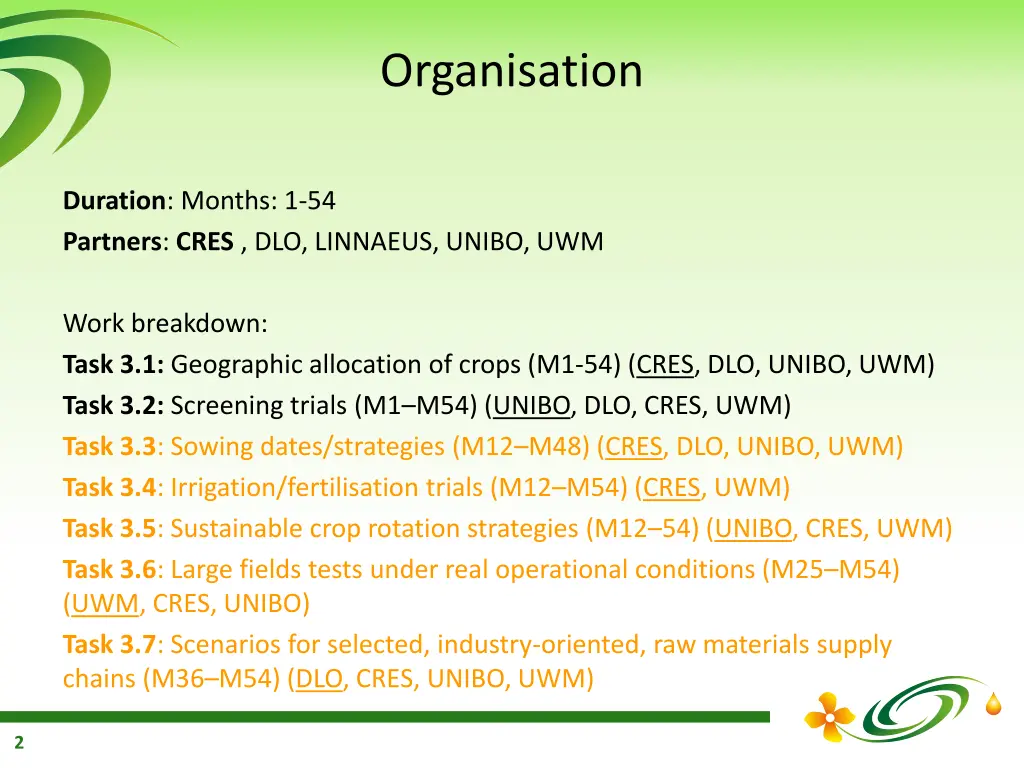 organisation