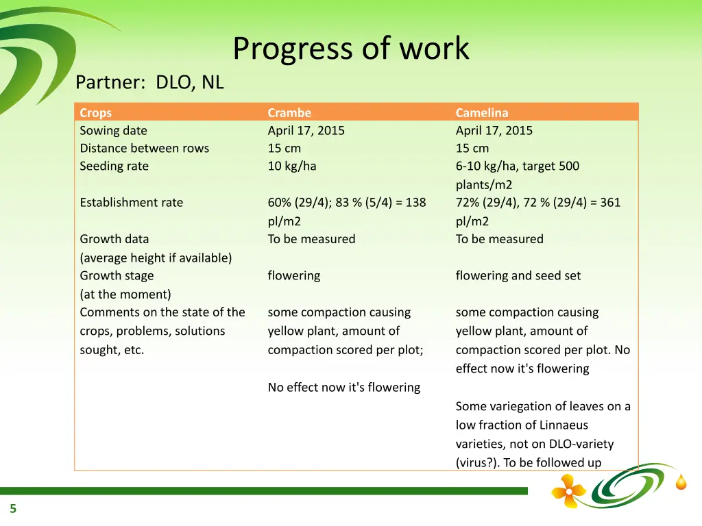 progress of work 2