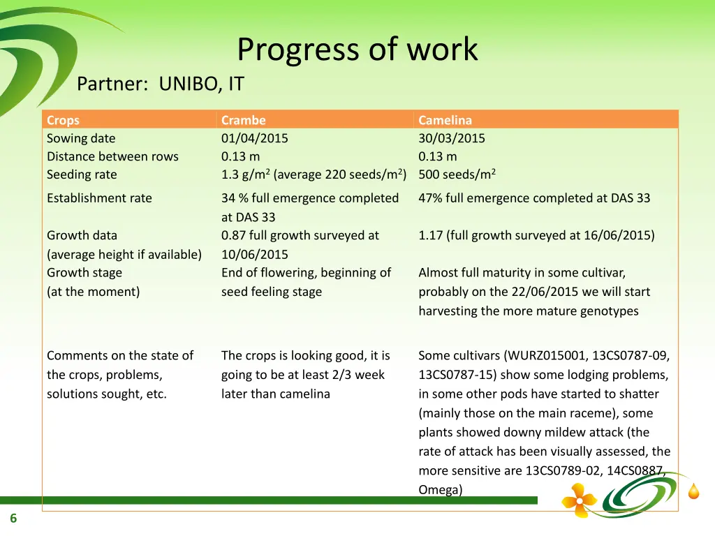 progress of work 3