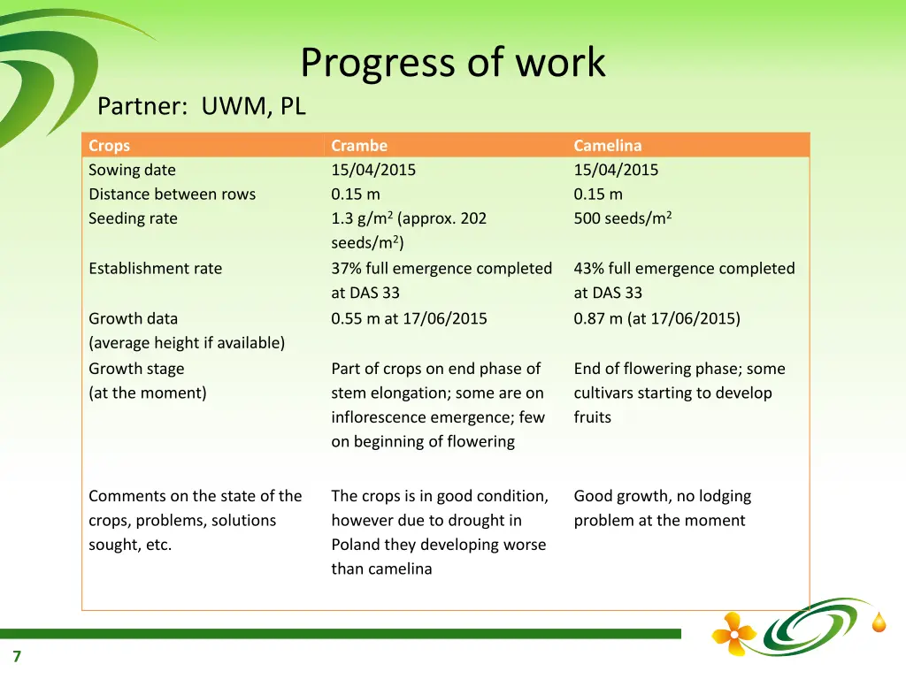 progress of work 4