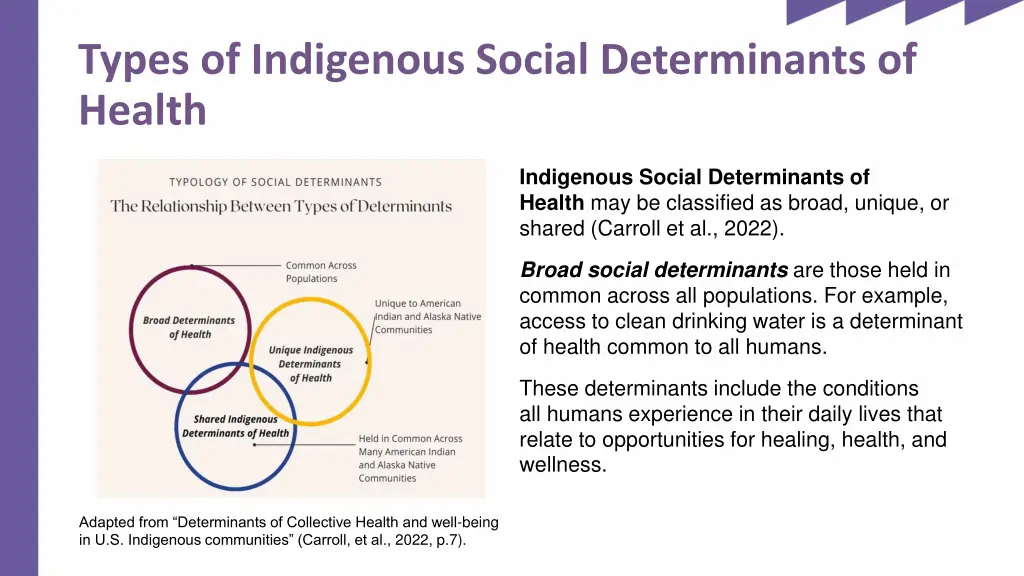 types of indigenous social determinants of health