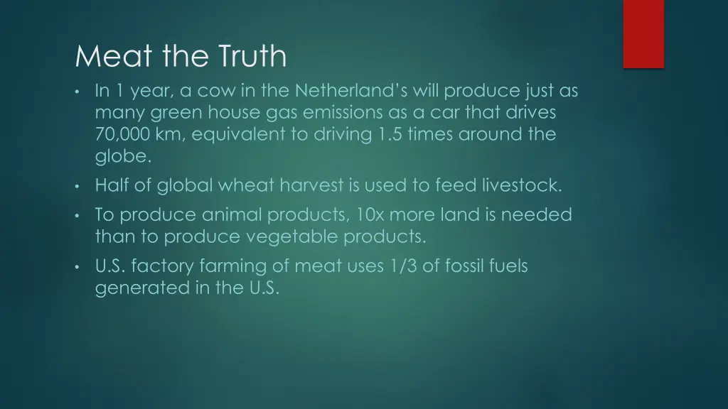 meat the truth in 1 year a cow in the netherland