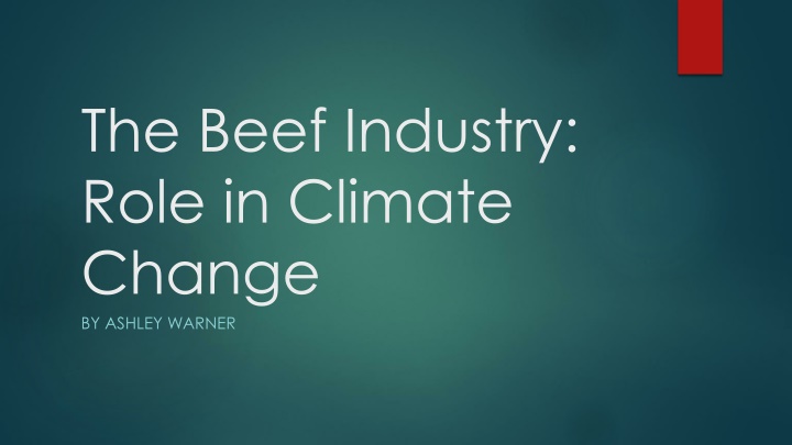 the beef industry role in climate change