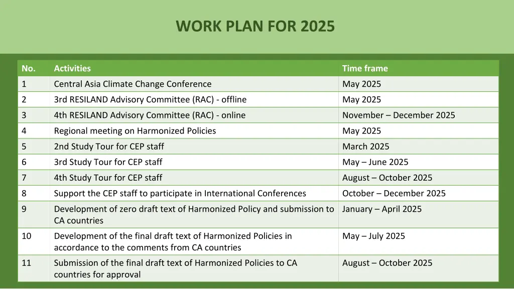 work plan for 2025