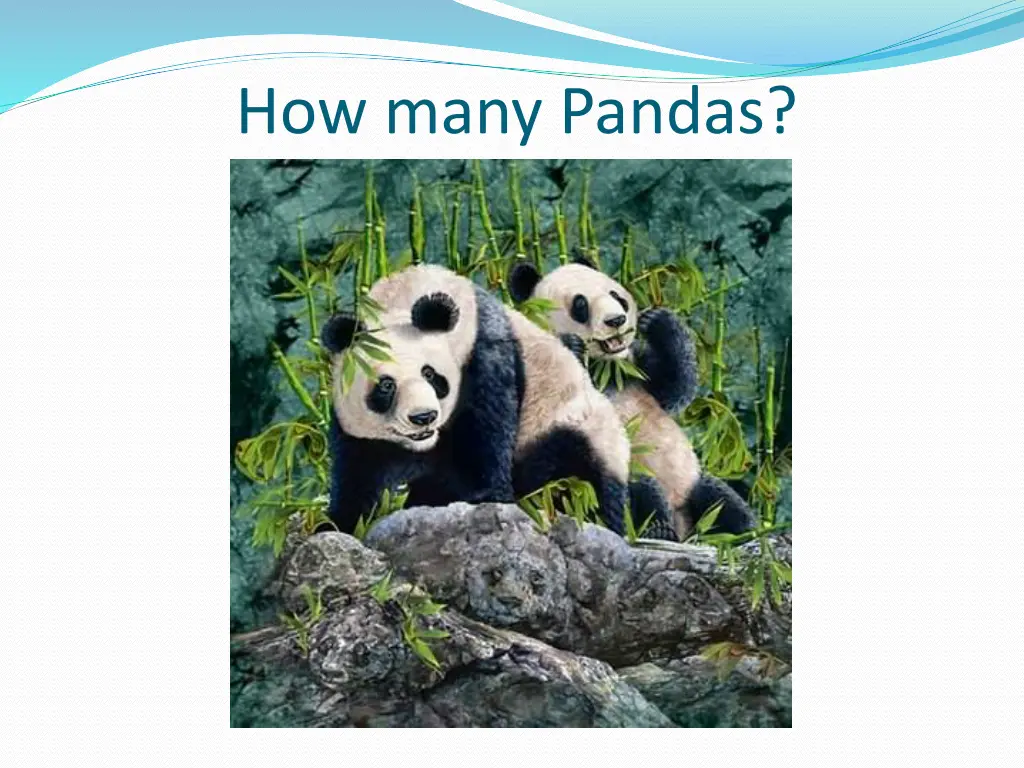 how many pandas