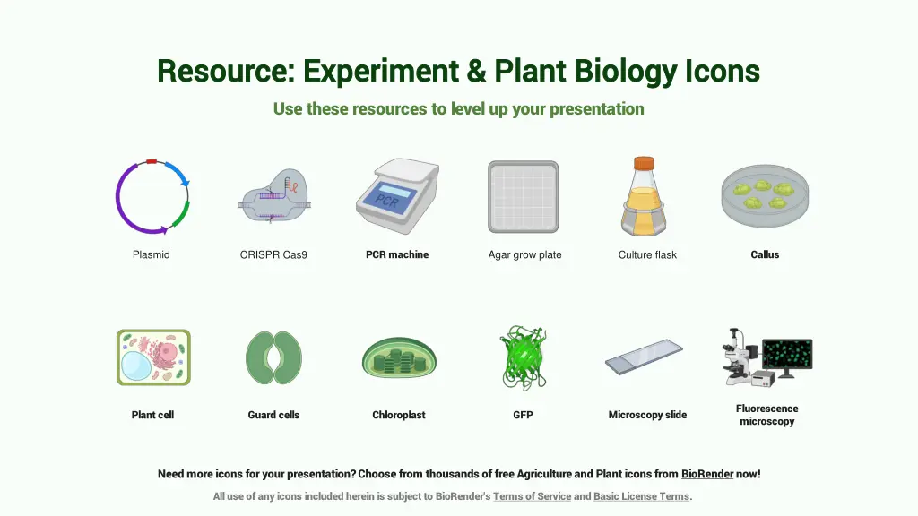 resource resource experiment plant biology icons