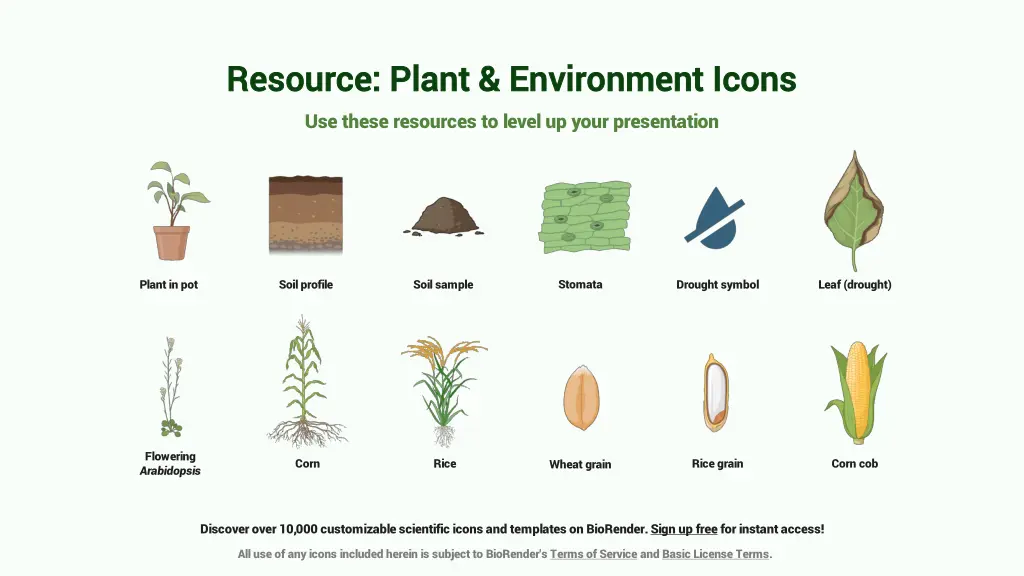 resource resource plant environment icons plant