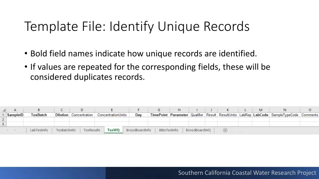 template file identify unique records