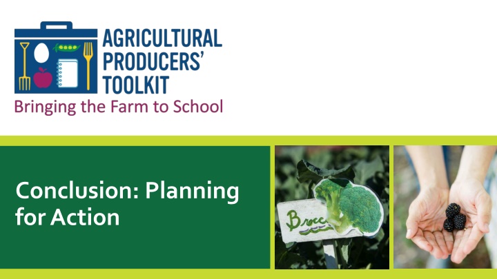 conclusion planning for action