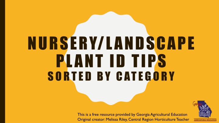 nursery landscape plant id tips sorted by category