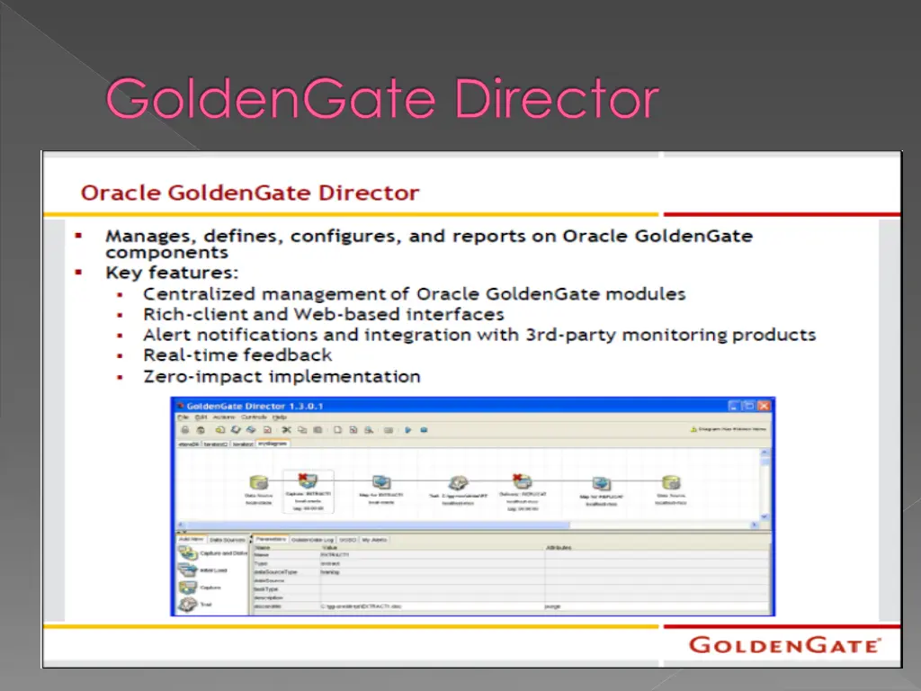 goldengate director