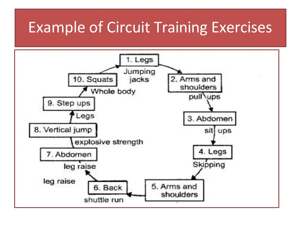 example of circuit training exercises