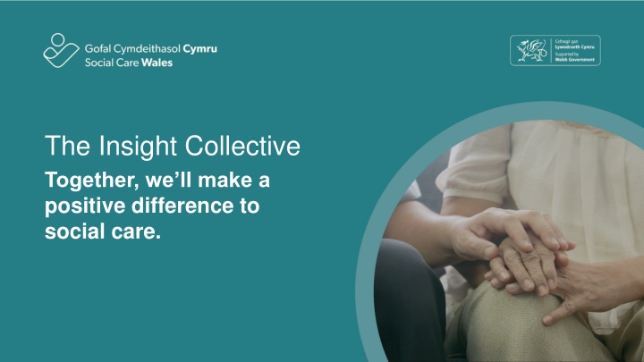 the insight collective