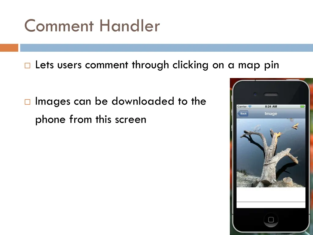 comment handler