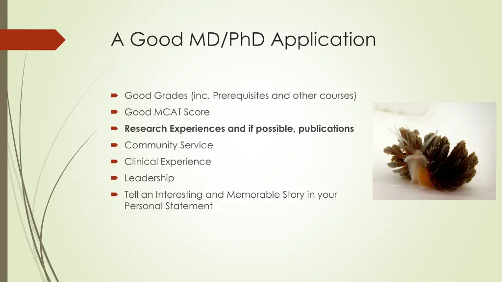 a good md phd application