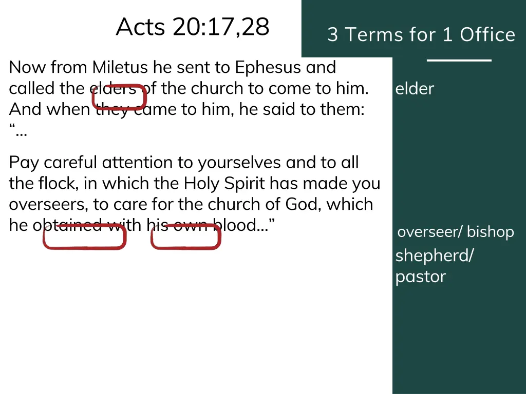 acts 20 17 28