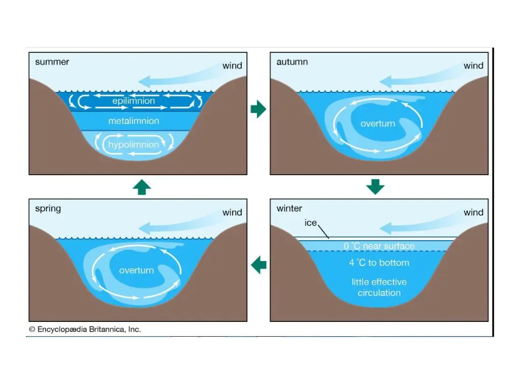 slide10