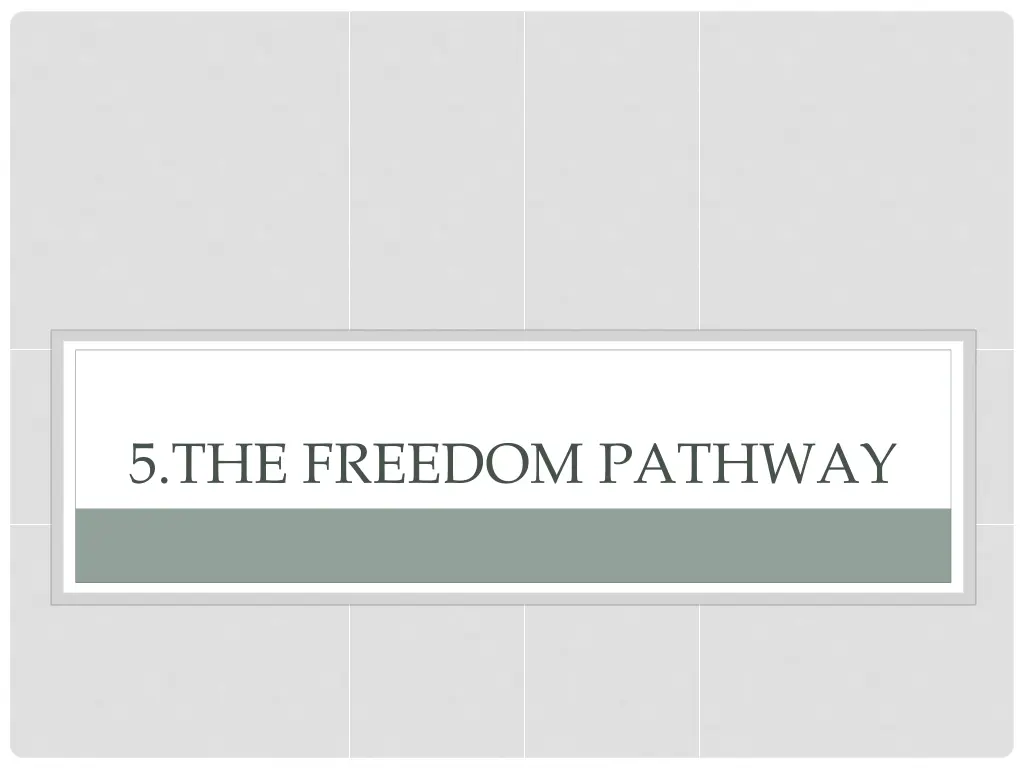 5 the freedom pathway