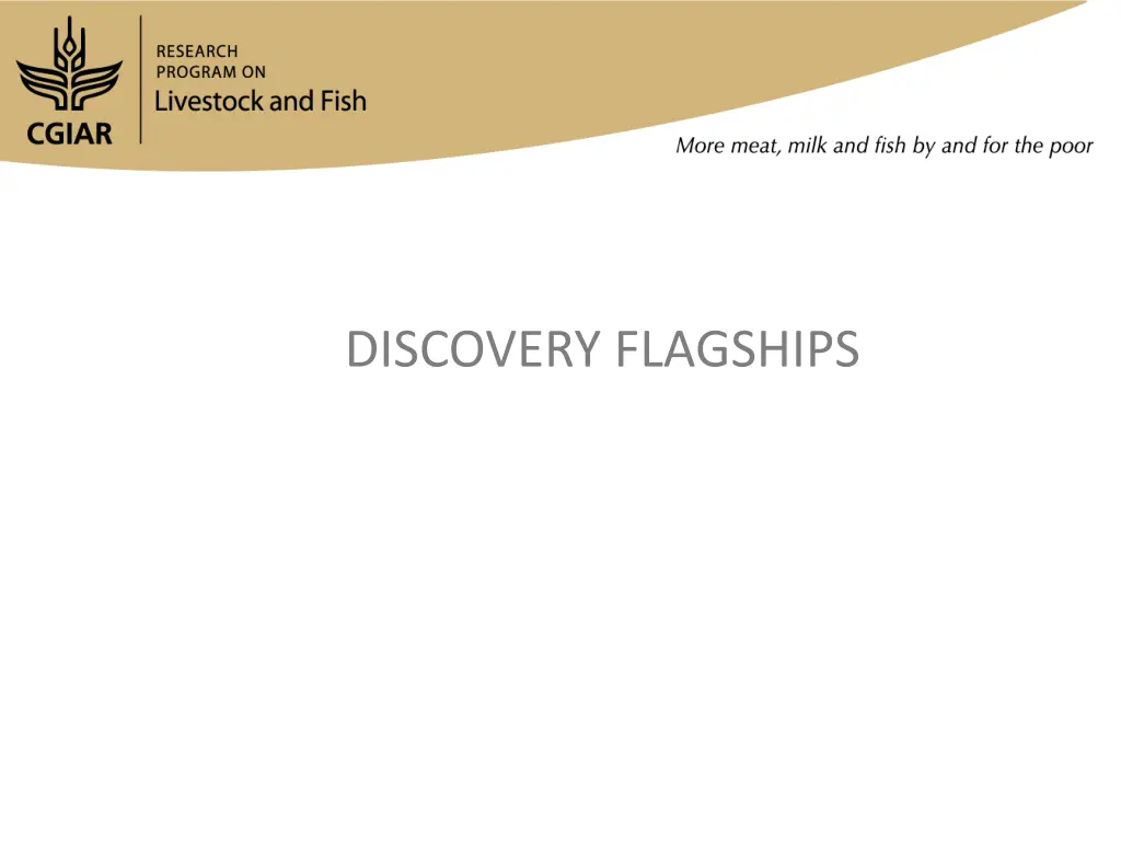 discovery flagships