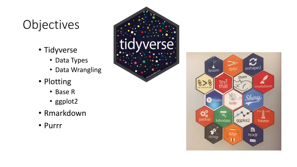 objectives
