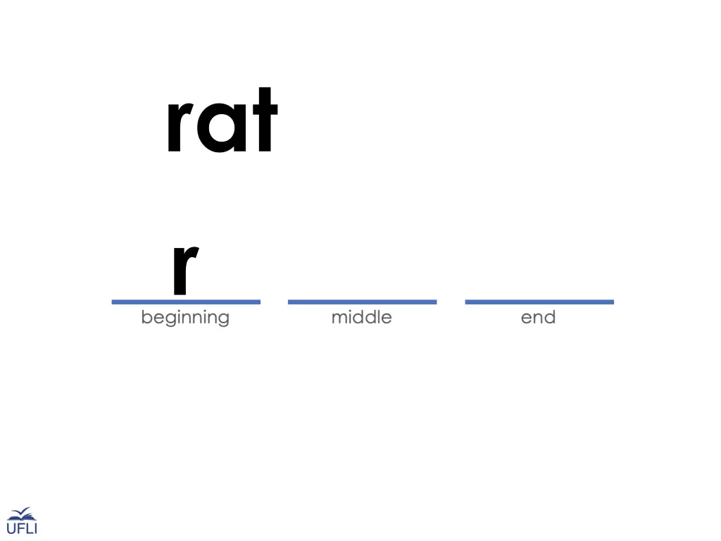 rat r