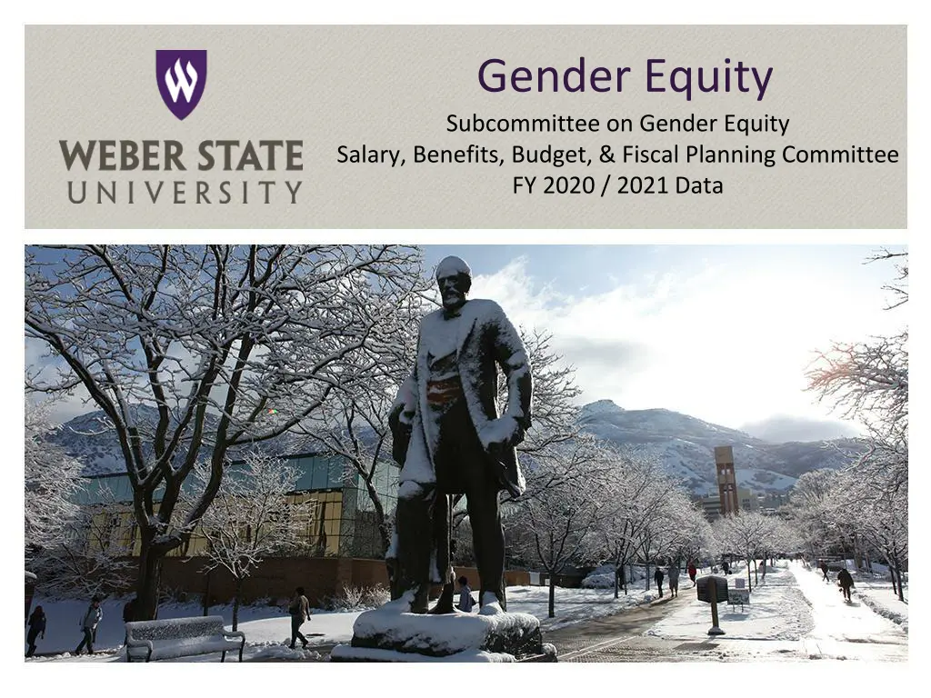 gender equity subcommittee on gender equity