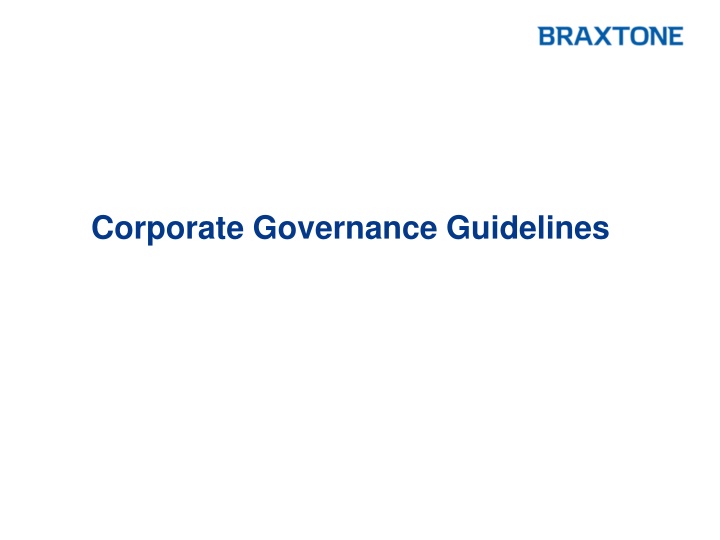 corporate governance guidelines