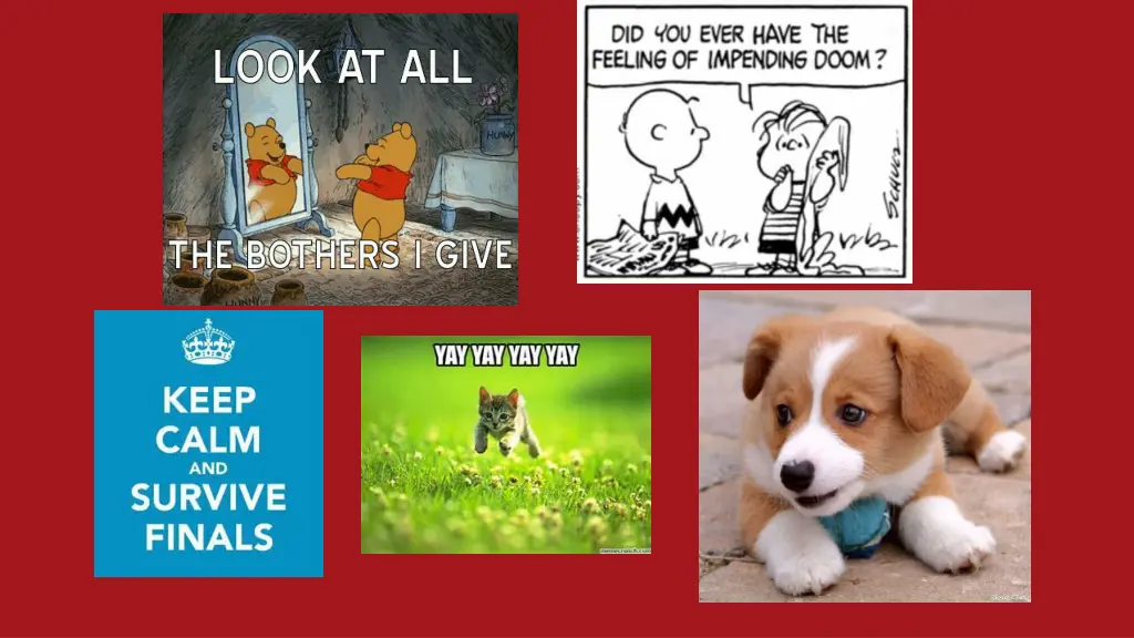 slide12