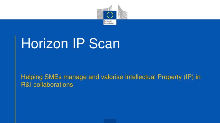 horizon ip scan
