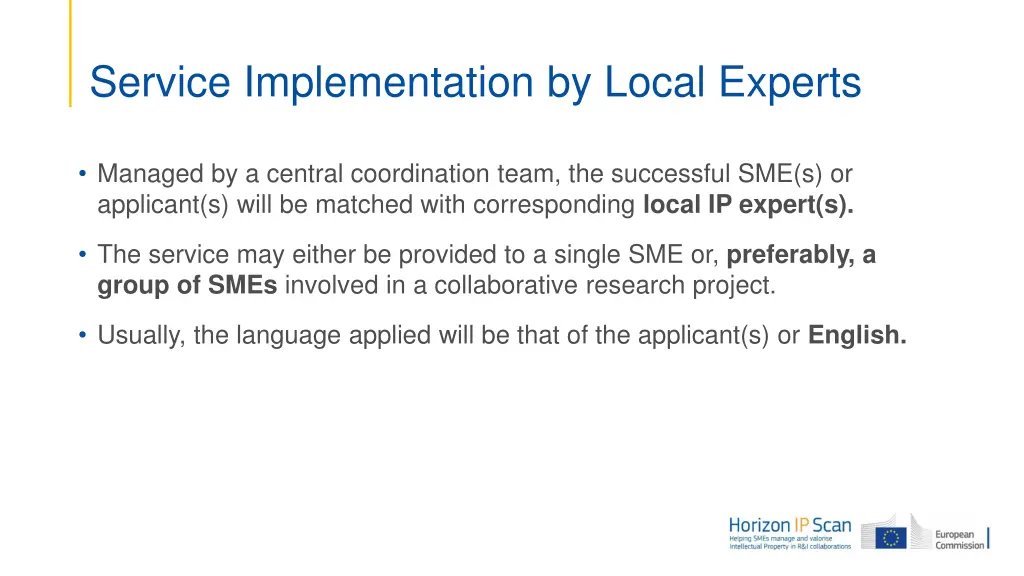 service implementation by local experts