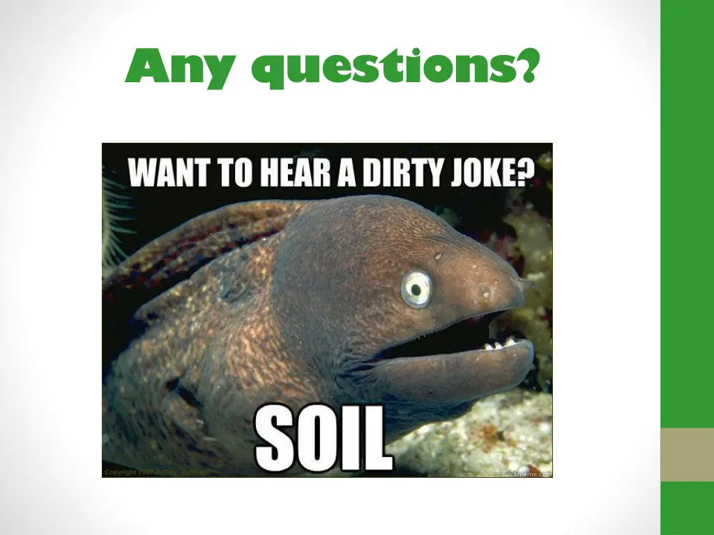 any questions