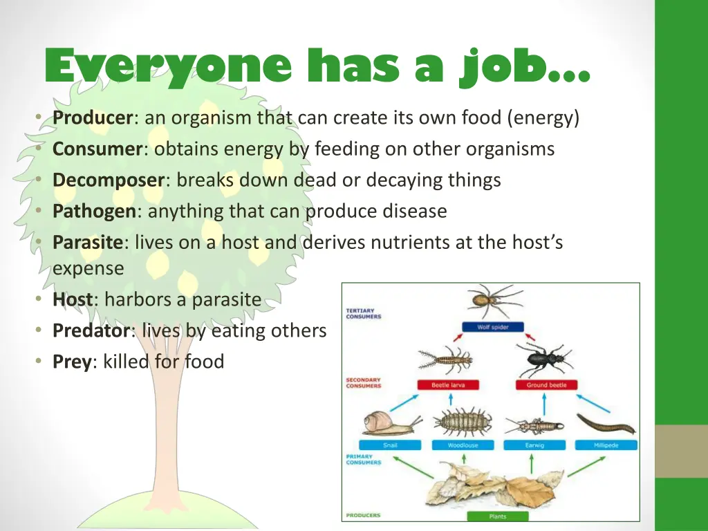 everyone has a job