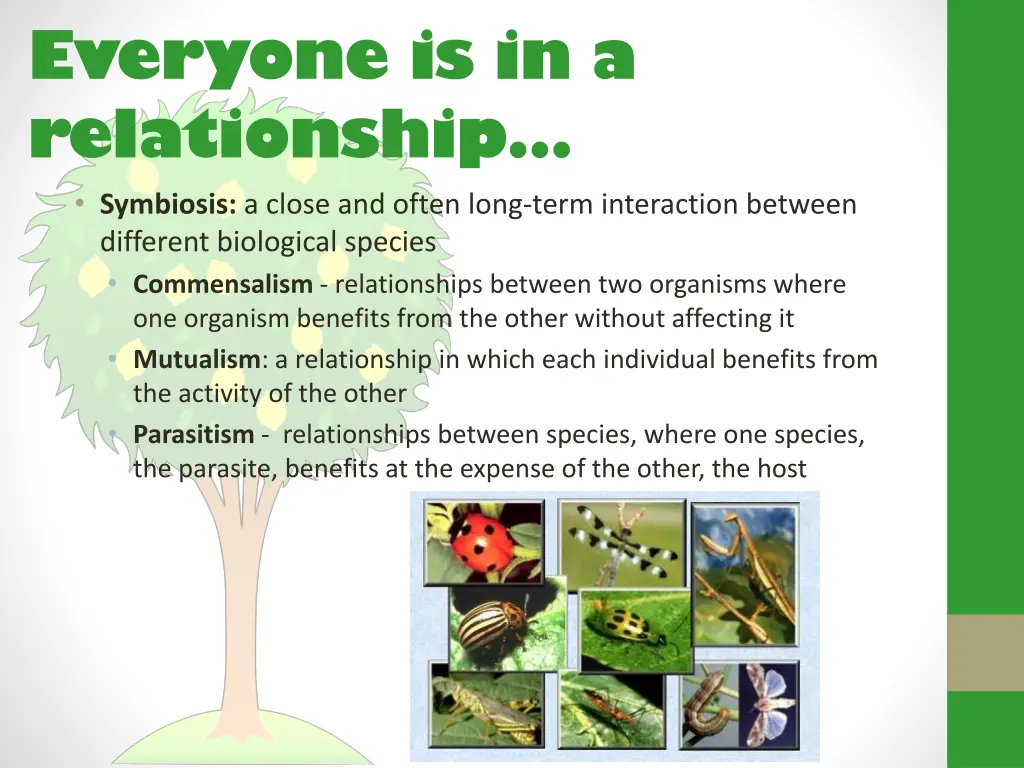 everyone is in a relationship symbiosis a close