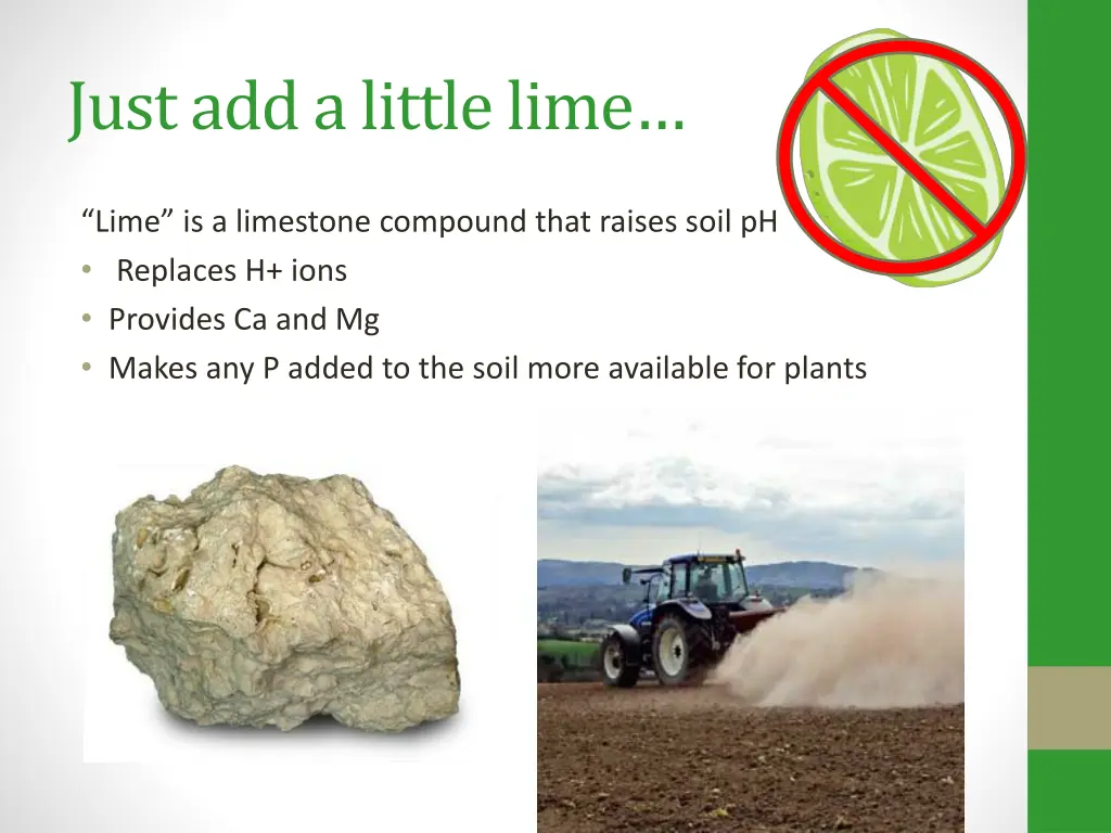 just add a little lime