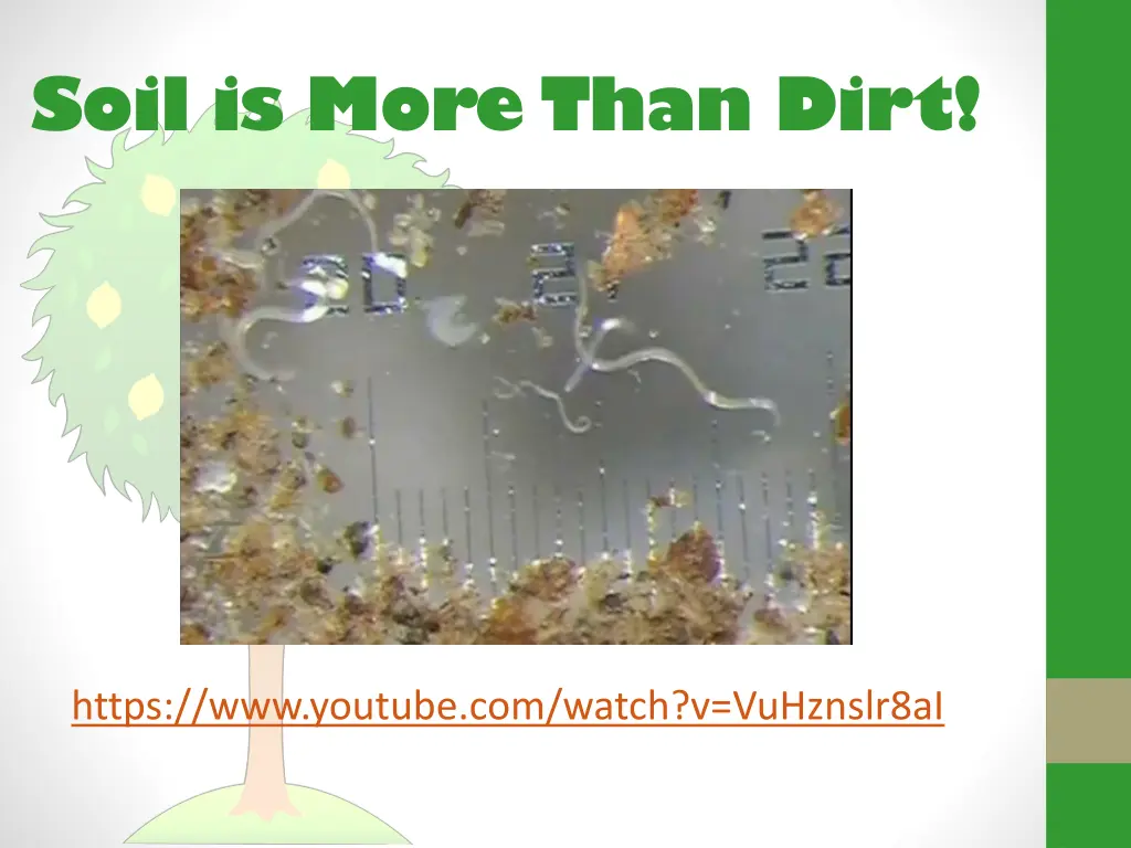 soil is more than dirt