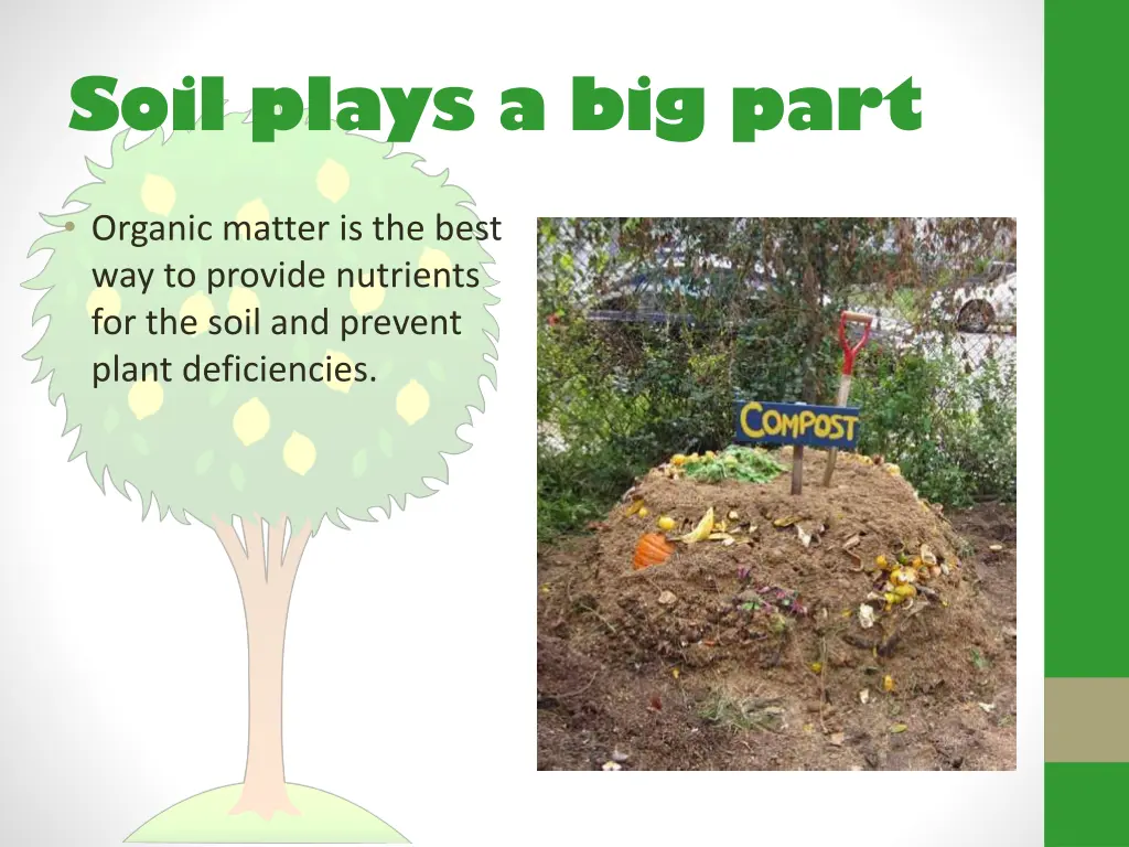soil plays a big part