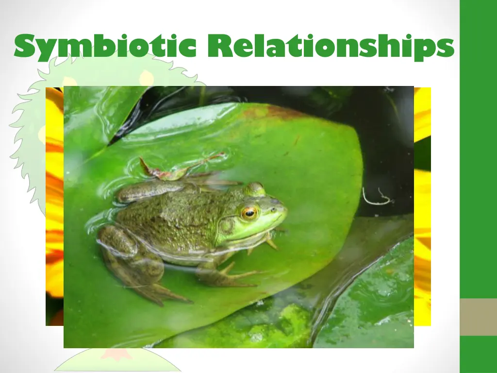 symbiotic relationships