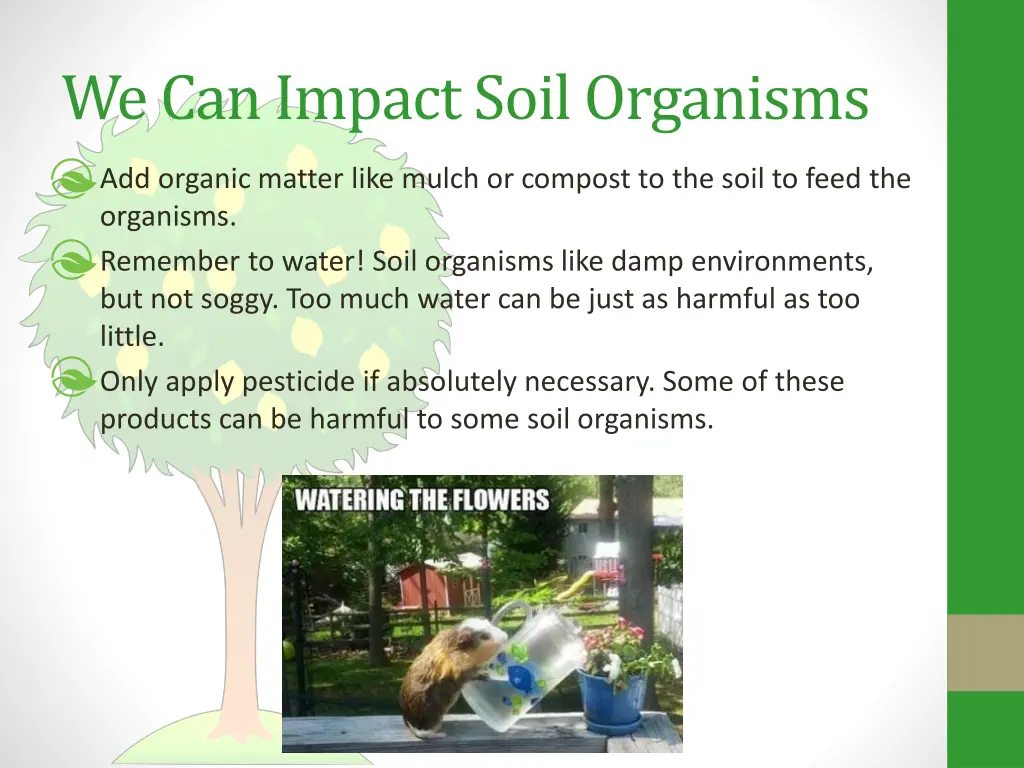 we can impact soil organisms