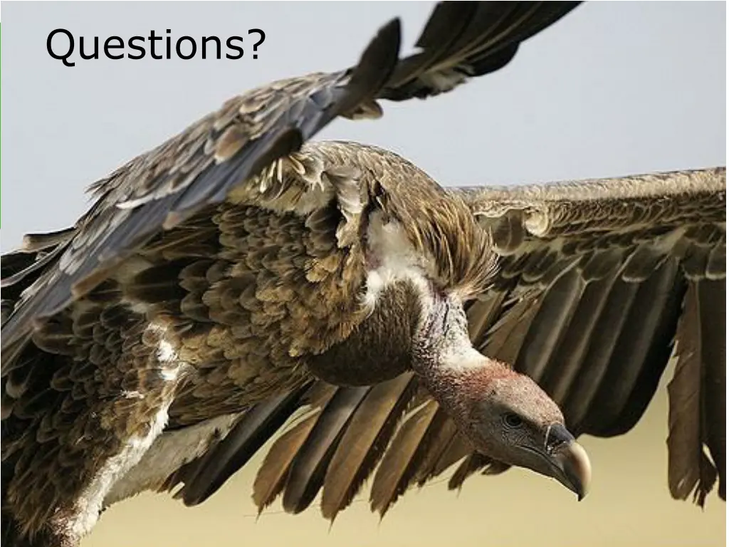 questions