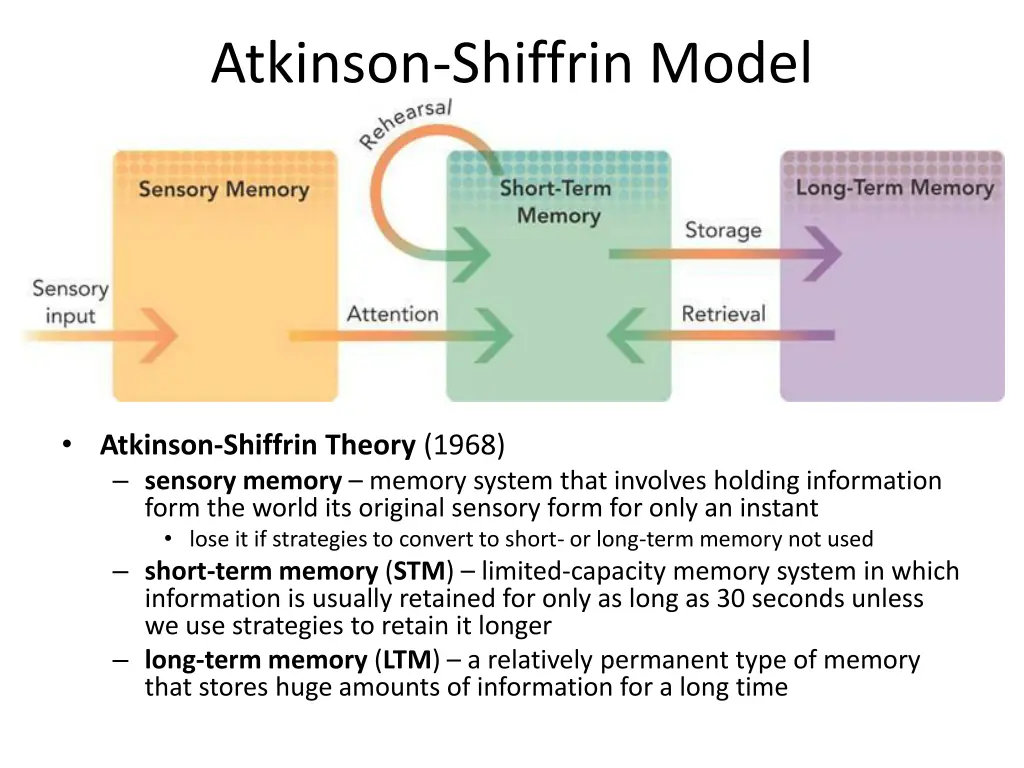 atkinson shiffrin model