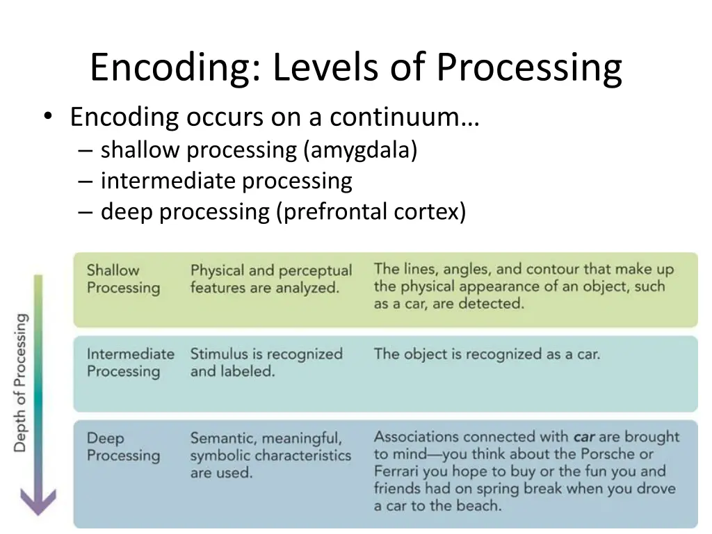 encoding levels of processing encoding occurs