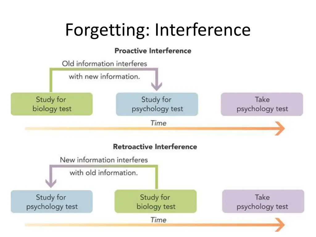 forgetting interference