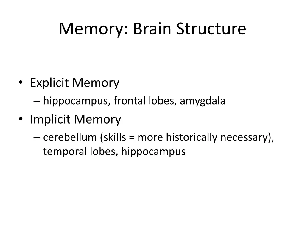 memory brain structure