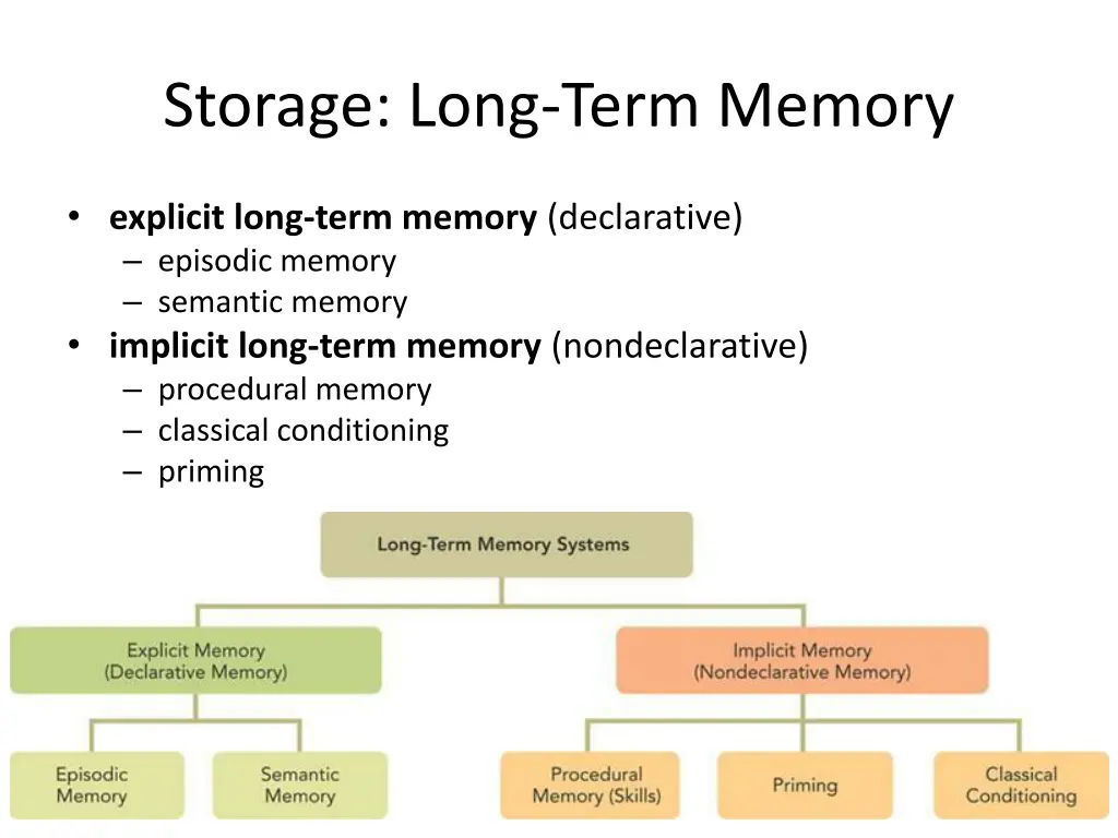 storage long term memory 1