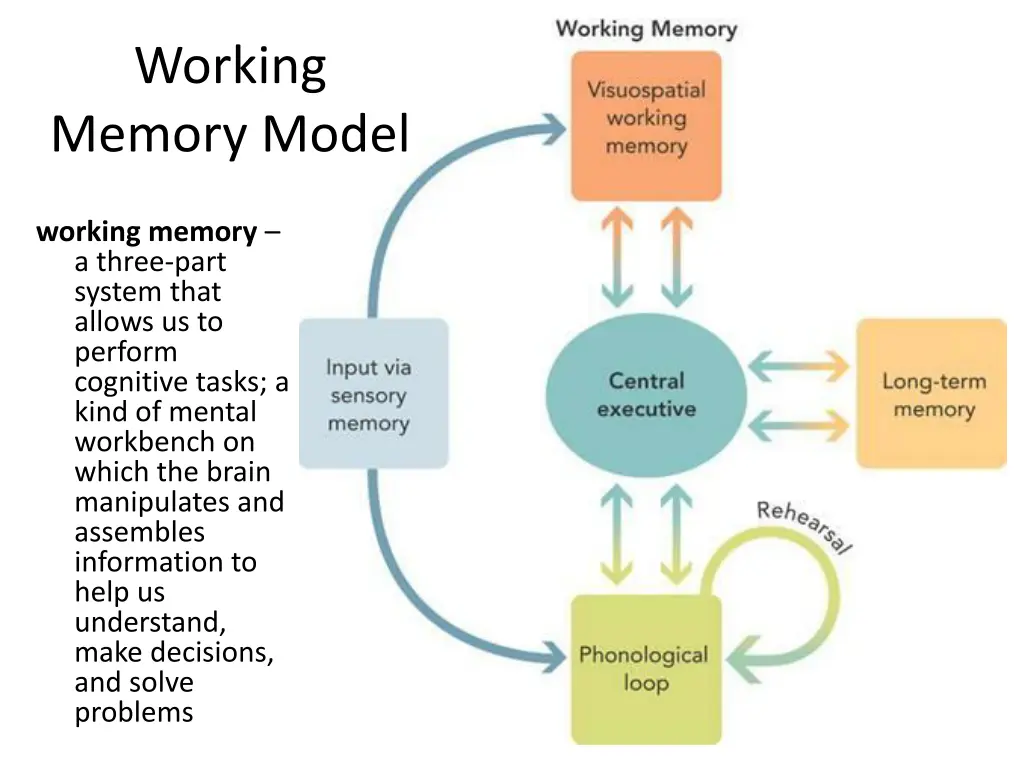 working memory model