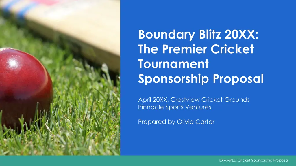 boundary blitz 20xx the premier cricket