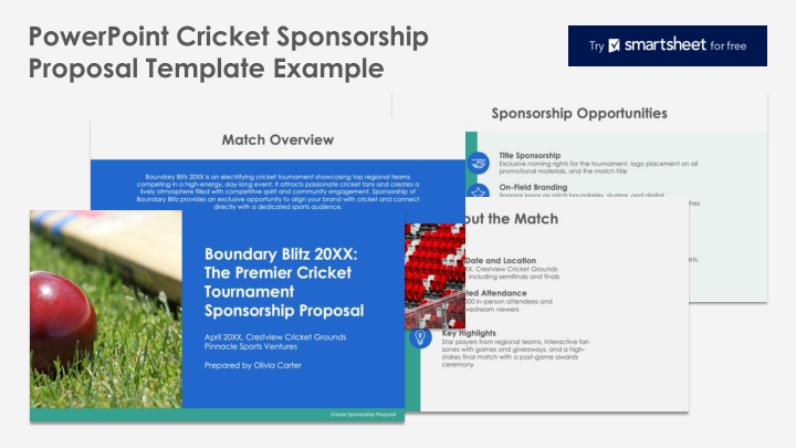 powerpoint cricket sponsorship proposal template