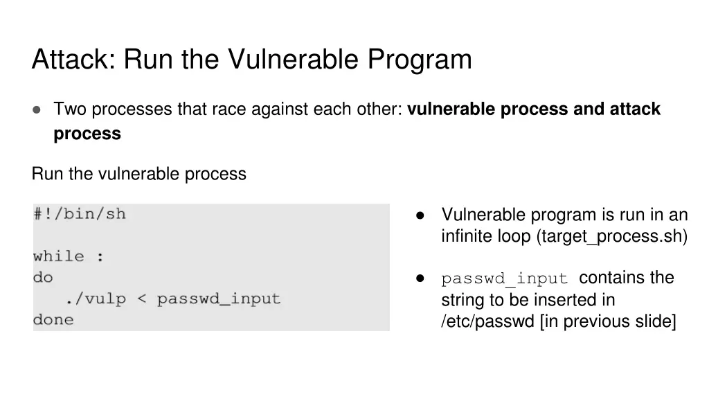 attack run the vulnerable program