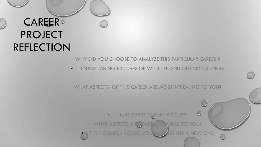 career project reflection
